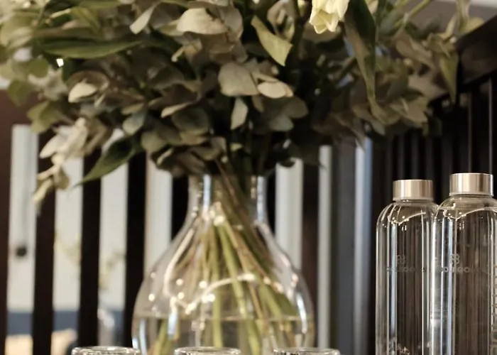 酒店 Malda Singular